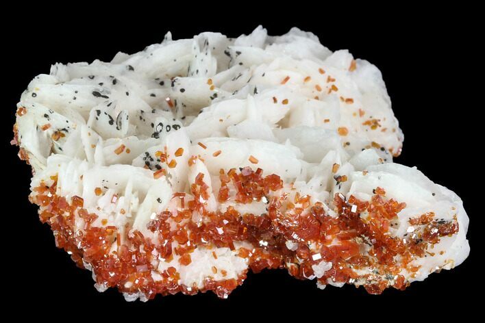 Ruby Red Vanadinite Crystals on Barite - Morocco #100691